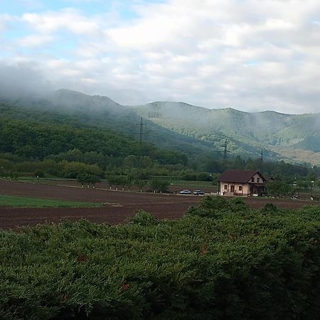 Vila Gosen Sard Dış mekan fotoğraf
