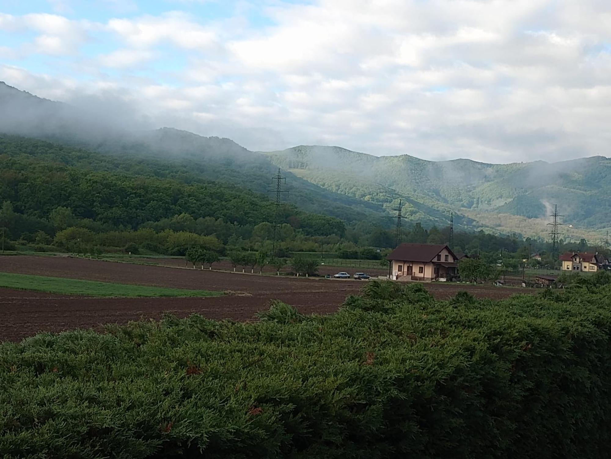 Vila Gosen Sard Dış mekan fotoğraf